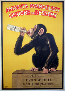 drunkmonkey.jpg (36577 bytes)